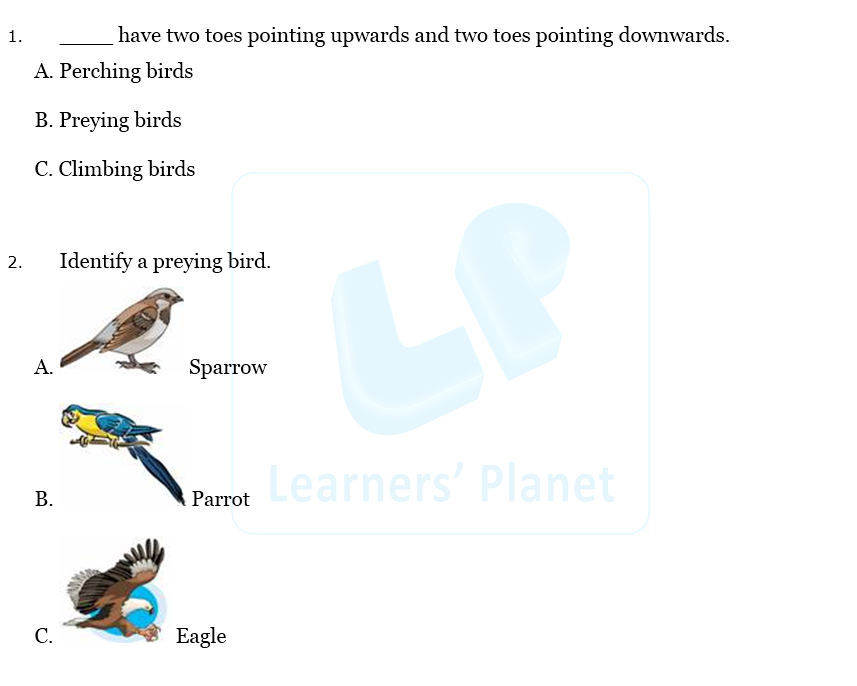 Beaks and Claws of Birds mcq worksheet